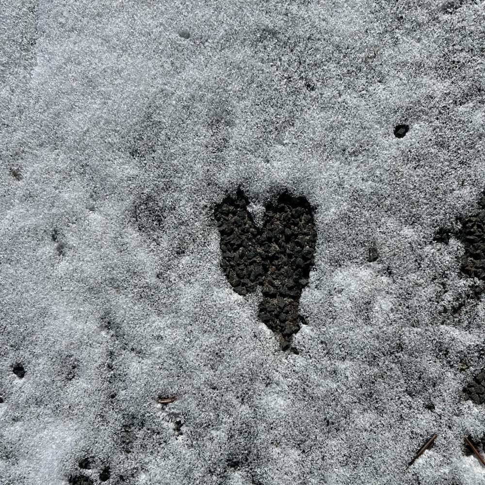 Meet your Posher, Erica